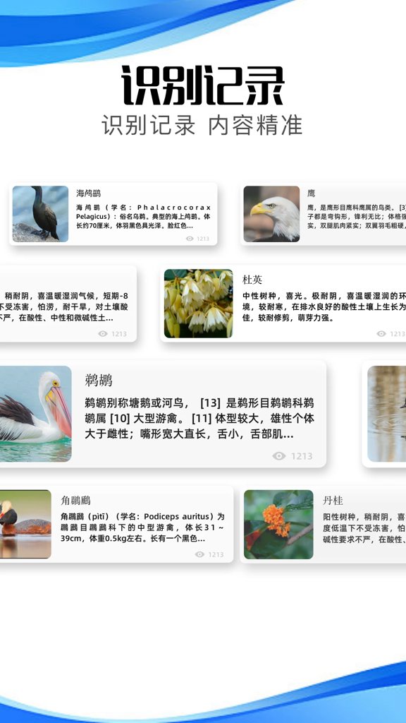 冷眸软件库2024最新安装包官网版