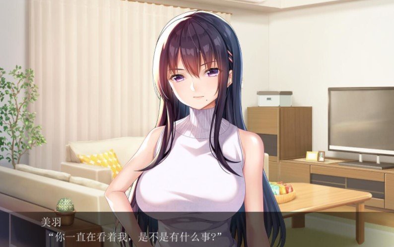 请停手吧姐姐大人要断了游戏直装版