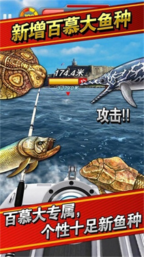 钓鱼发烧友正版安卓