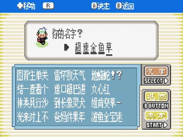口袋妖怪究极绿宝石5.4