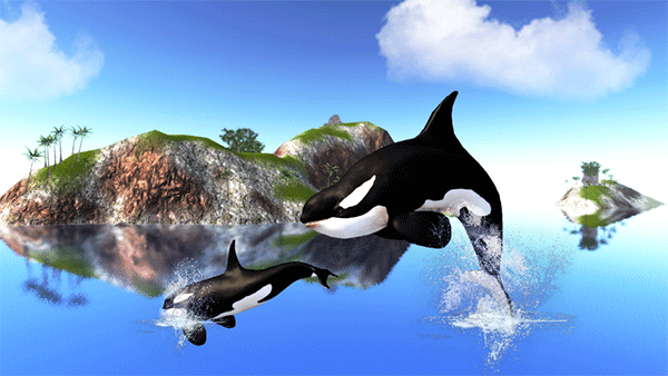 虎鲸模拟器下载(The Killer Whale)