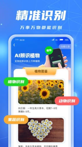 ai识别大师2025