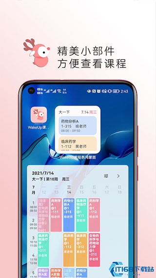 wakeup课程表