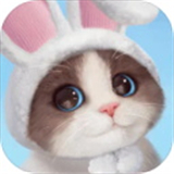 我和我的猫手机版