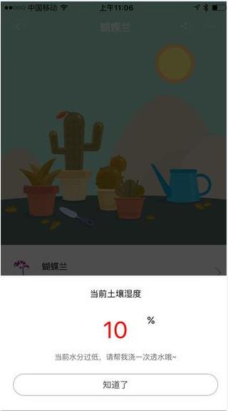 花花草草