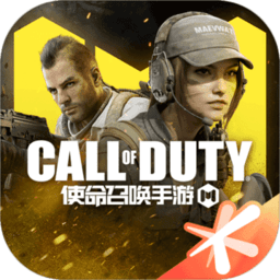 使命召唤13