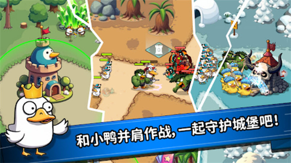 什么鸭