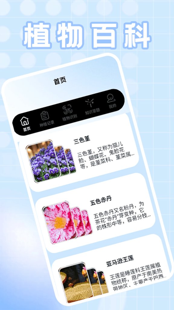 种菜忙不停