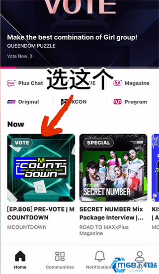 mnetplus投票的教程