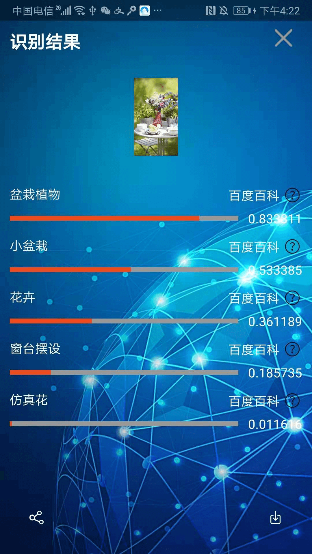 小鲸鱼app