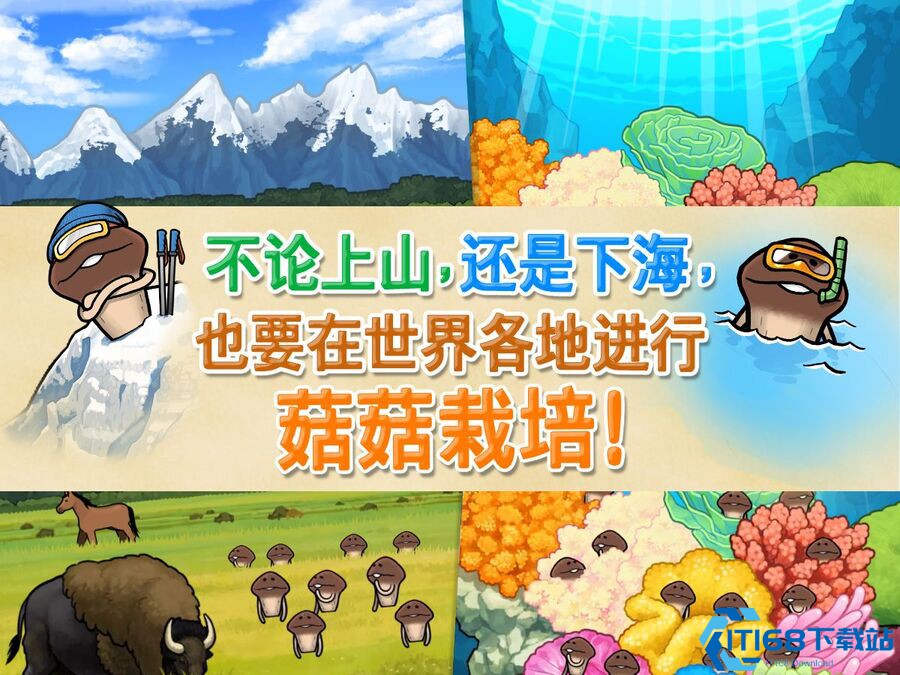 菇菇栽培研究室