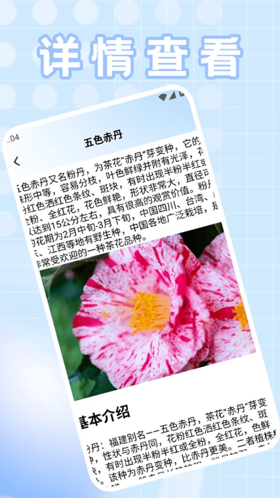 种菜忙不停