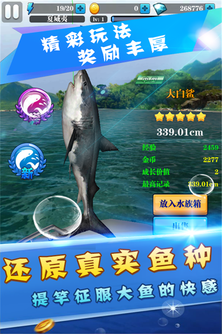 天天爱钓鱼 天天爱钓鱼