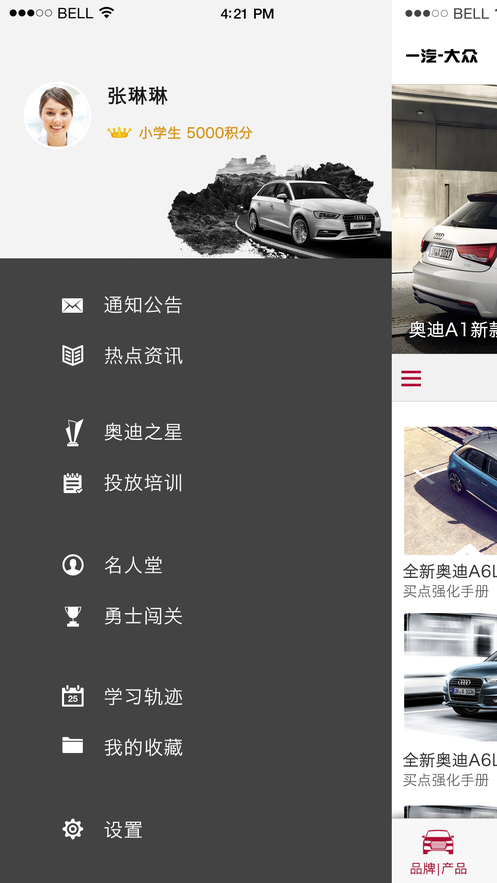 奥迪e训