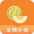 肉丸书吧免费阅读