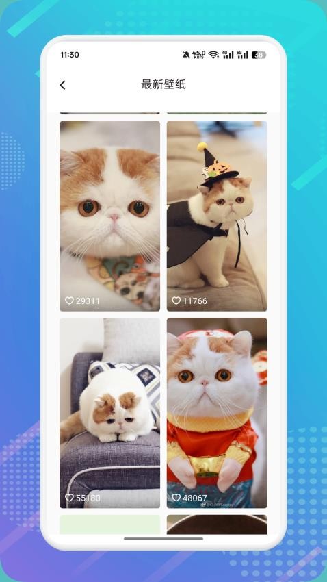 猫咪社区1.4.10版本介绍最新手机版