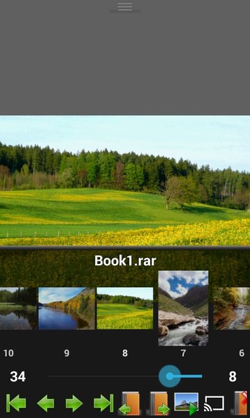 PerfectViewerPDF&DJVUPlugin