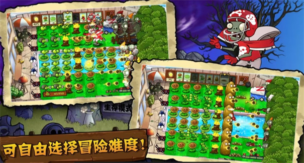植物大战僵尸t