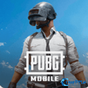 PUBGMOBILE最新版本