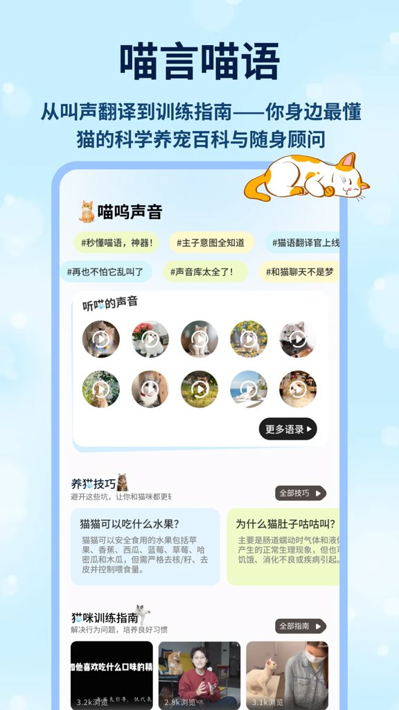 新版猫咪