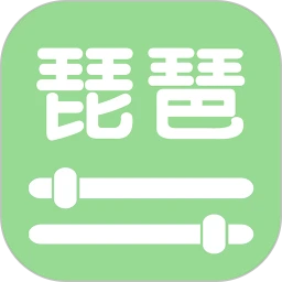 智能琵琶调音器