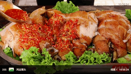 大飞直播t