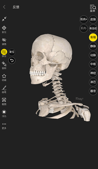 3Dbody解剖