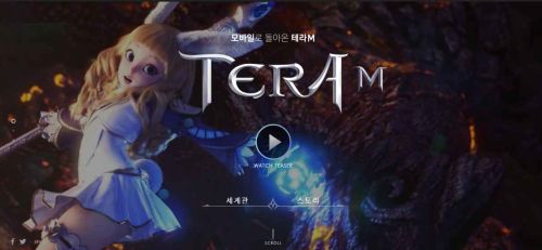 TERA M