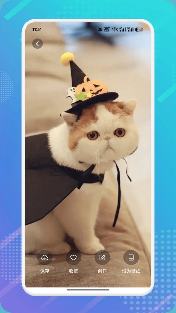 猫咪社区管网app官方正版手机
