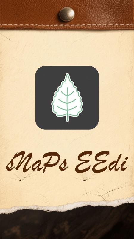 Snapseed官网入口手机版