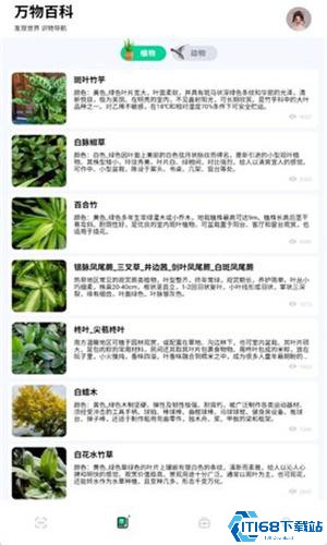 识万物扫一扫