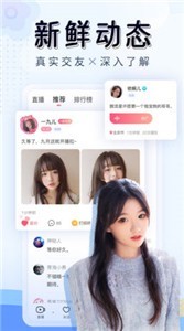 565凤蝶