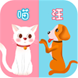 猫叫翻译器