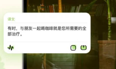 单词翻译帮app官方版下载