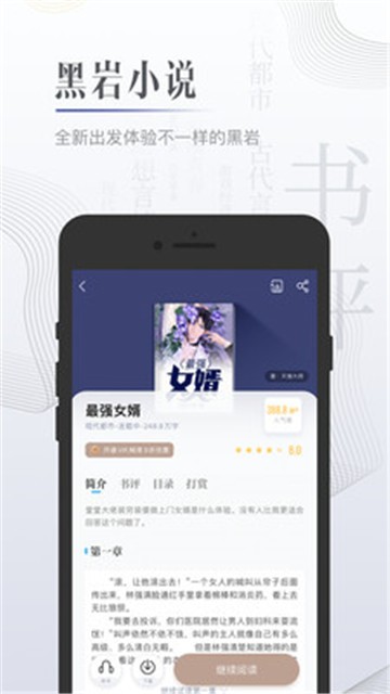 黑岩小说
