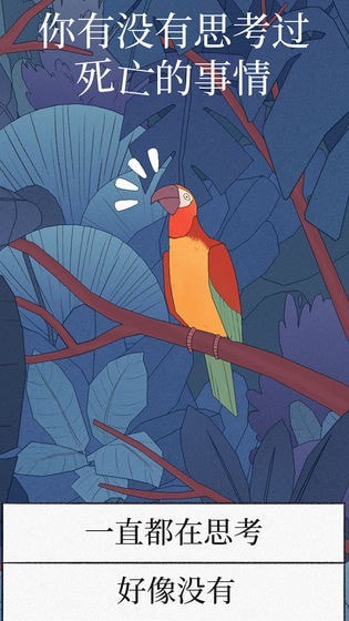 孤独的鸟儿2023最新版(Bird Alone)
