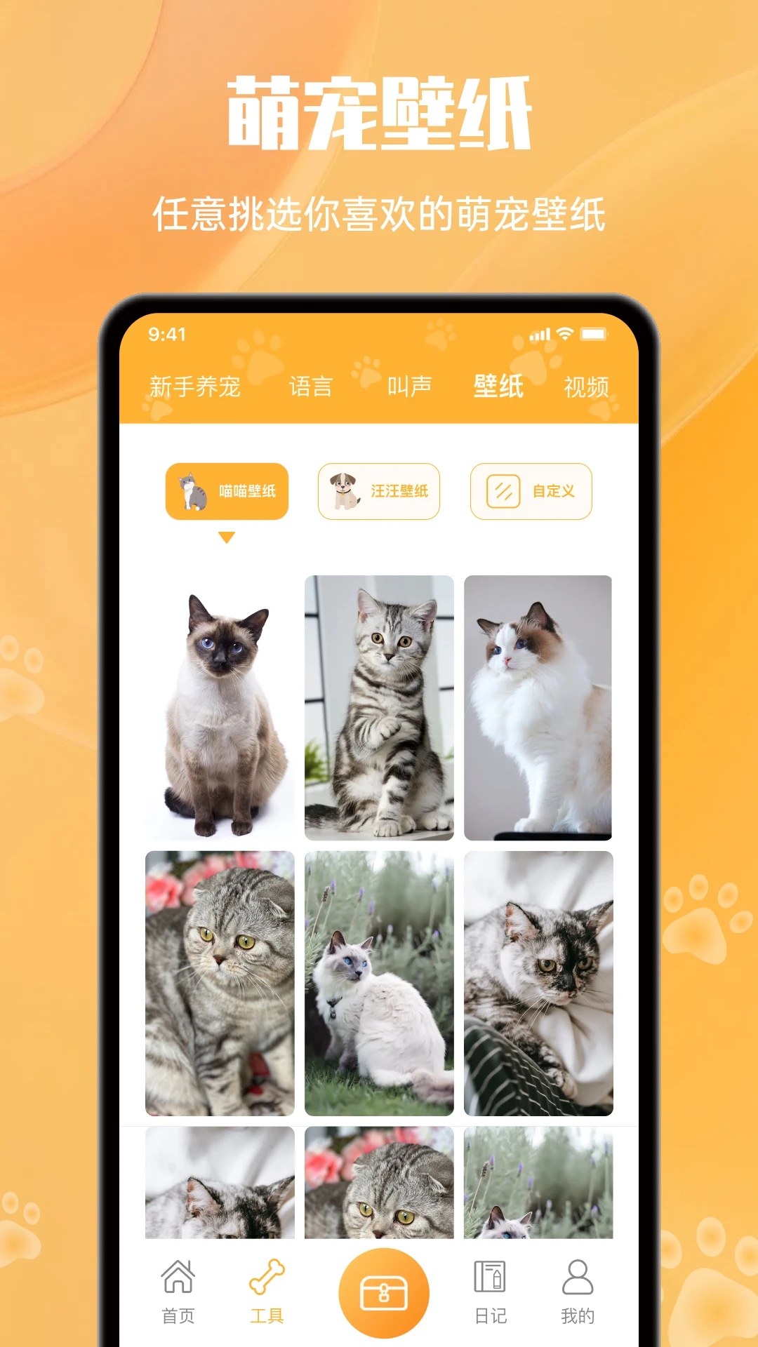 网喵(改名动物语言翻译器)app最新版下载