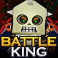 BattleKing(战斗王宣战手游)