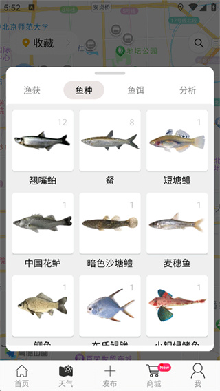 渔获(潮汐天气预报) 渔获(潮汐天气预报)