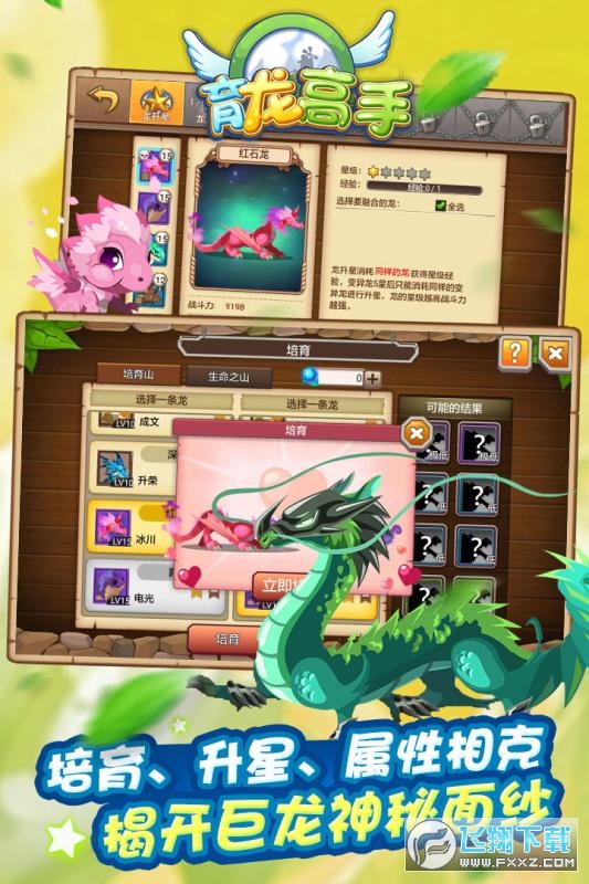 育龙高手 育龙高手