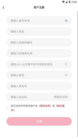 奇瑞汽金轻量版