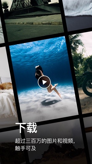 Pexels官方app手机版