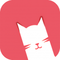 猫咪