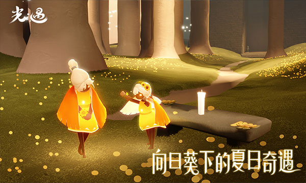 光遇北觅全物品(光遇国际测试服)