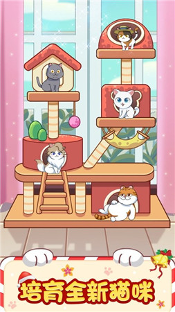 猫咪小家