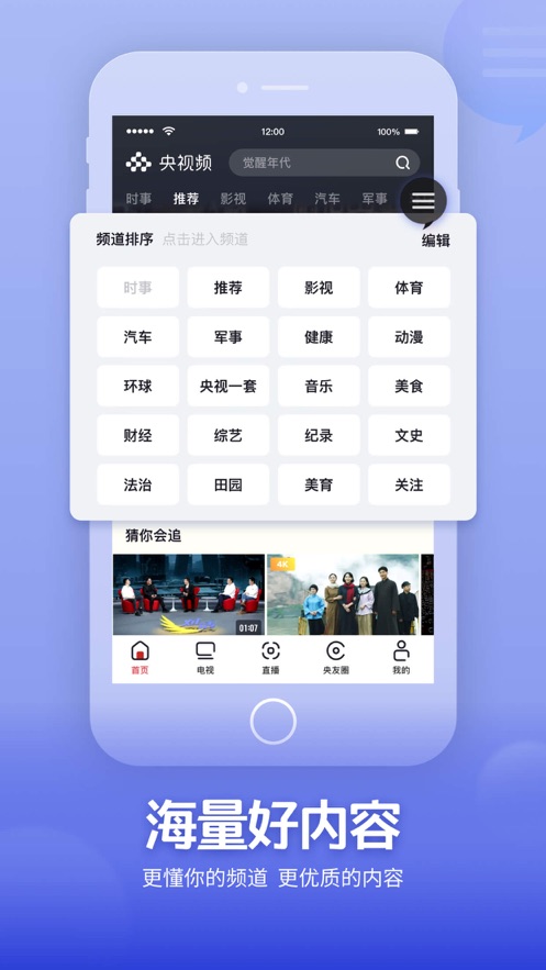 央视频TV版app