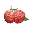 增城泊车app