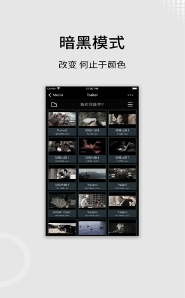 zFuse播放器