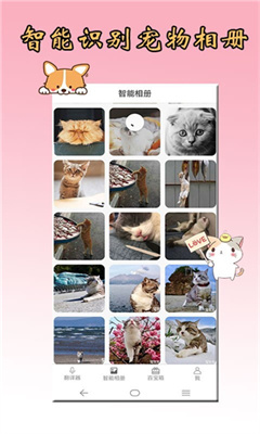猫狗翻译器中文版