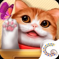 花样猫咪破解版